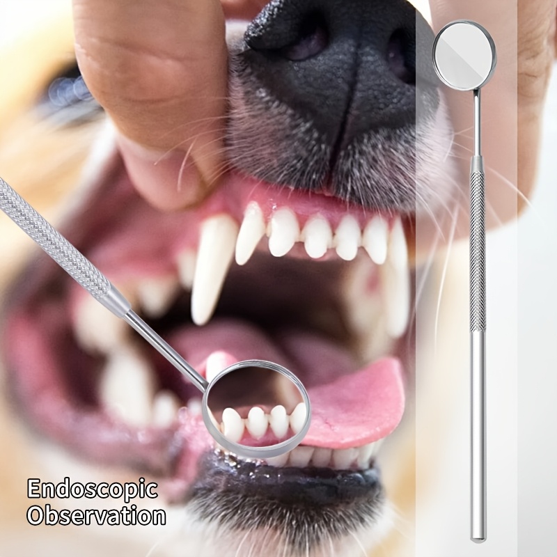 Removedor de Tártaro Soundwave - Teeth Whitening Mouthwash avaliação e preço